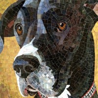 собака мозаика